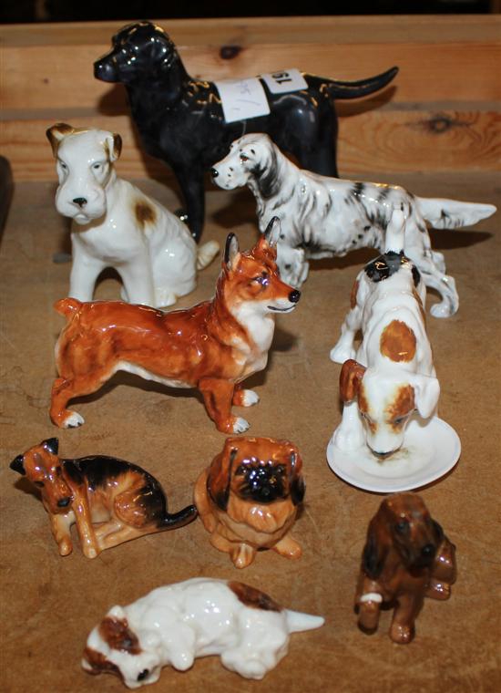 Collection of 9 various Doulton models of dogs